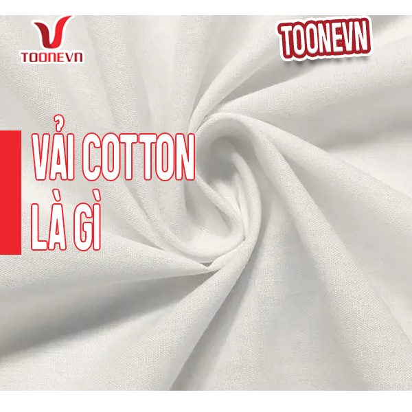 Vải Cotton Là Gì? Ưu, Nhược Điểm, Phân Loại Và Cách Nhận Biết